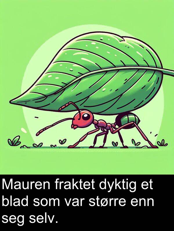 selv: Mauren fraktet dyktig et blad som var større enn seg selv.