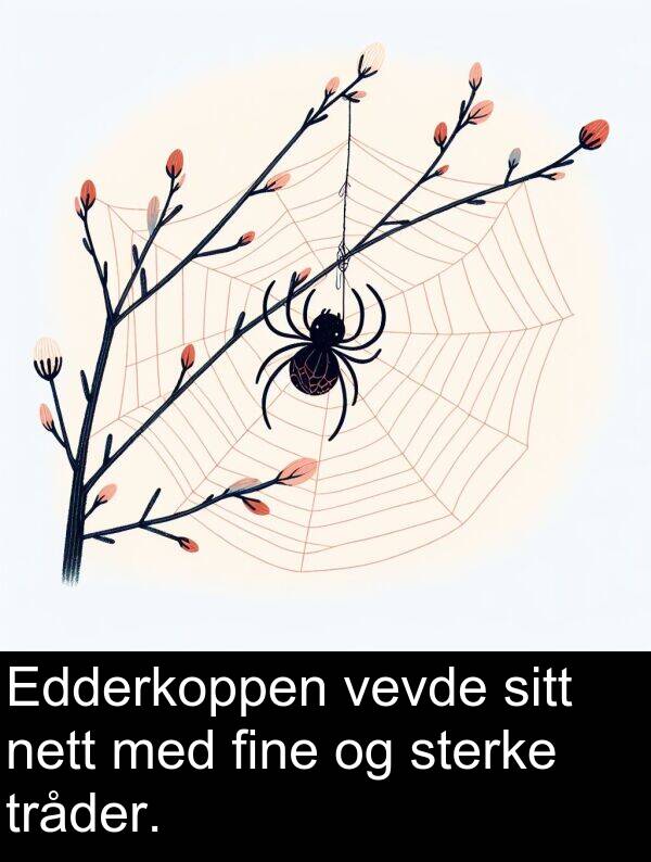 fine: Edderkoppen vevde sitt nett med fine og sterke tråder.