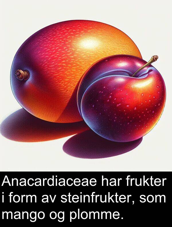 form: Anacardiaceae har frukter i form av steinfrukter, som mango og plomme.