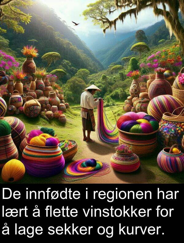 regionen: De innfødte i regionen har lært å flette vinstokker for å lage sekker og kurver.