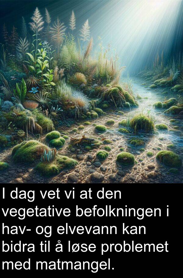 hav: I dag vet vi at den vegetative befolkningen i hav- og elvevann kan bidra til å løse problemet med matmangel.