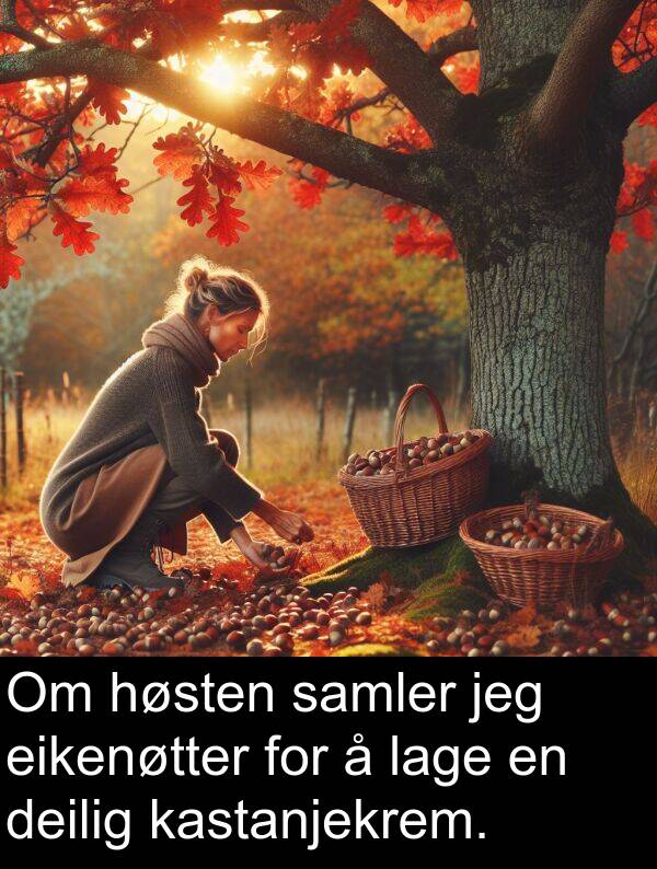høsten: Om høsten samler jeg eikenøtter for å lage en deilig kastanjekrem.