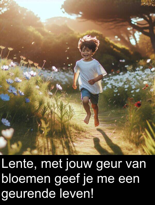 geur: Lente, met jouw geur van bloemen geef je me een geurende leven!