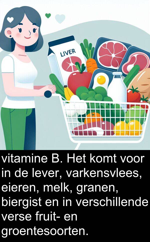 granen: vitamine B. Het komt voor in de lever, varkensvlees, eieren, melk, granen, biergist en in verschillende verse fruit- en groentesoorten.
