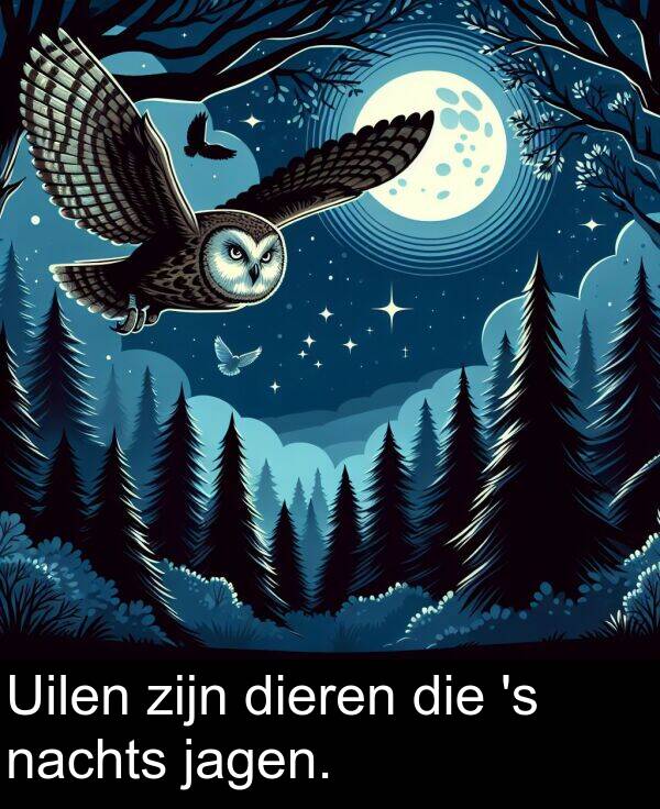 zijn: Uilen zijn dieren die 's nachts jagen.