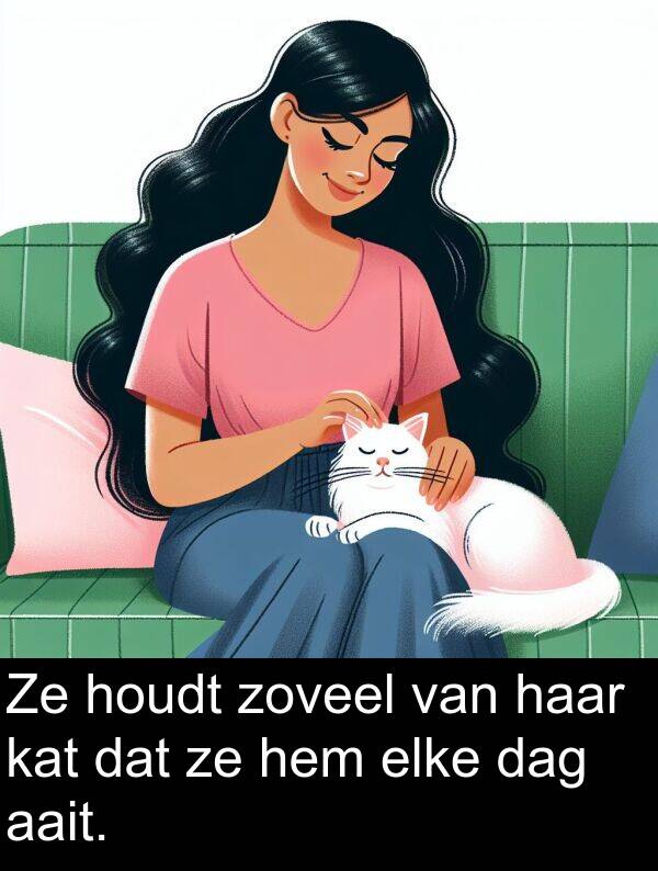 zoveel: Ze houdt zoveel van haar kat dat ze hem elke dag aait.