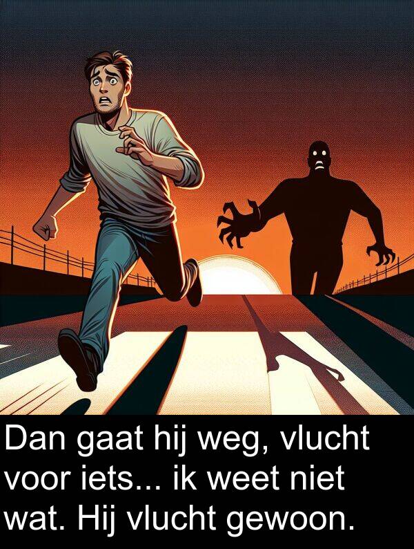 gewoon: Dan gaat hij weg, vlucht voor iets... ik weet niet wat. Hij vlucht gewoon.