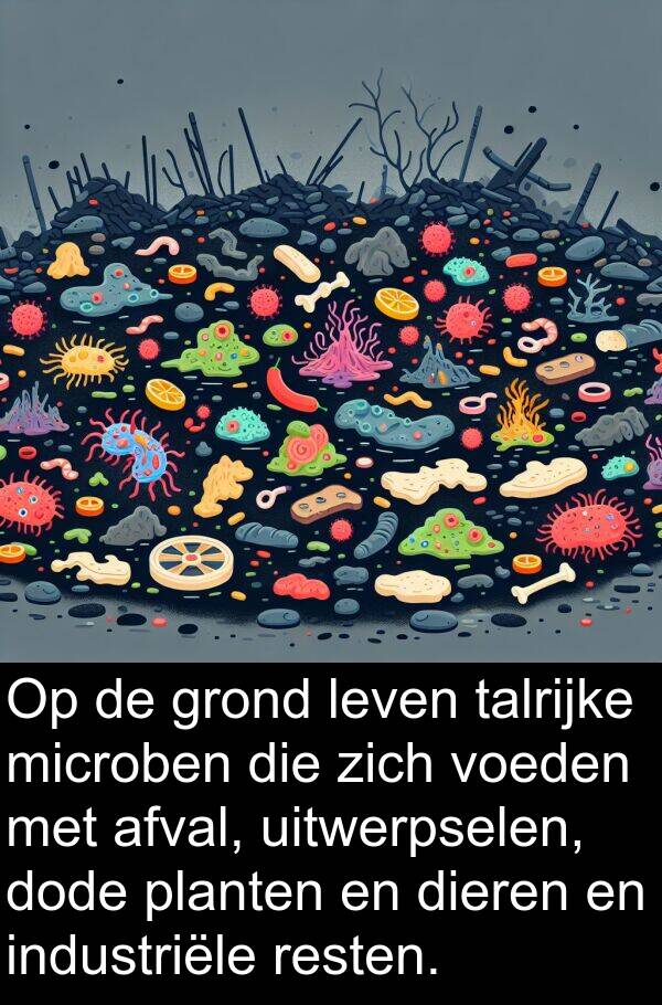 grond: Op de grond leven talrijke microben die zich voeden met afval, uitwerpselen, dode planten en dieren en industriële resten.