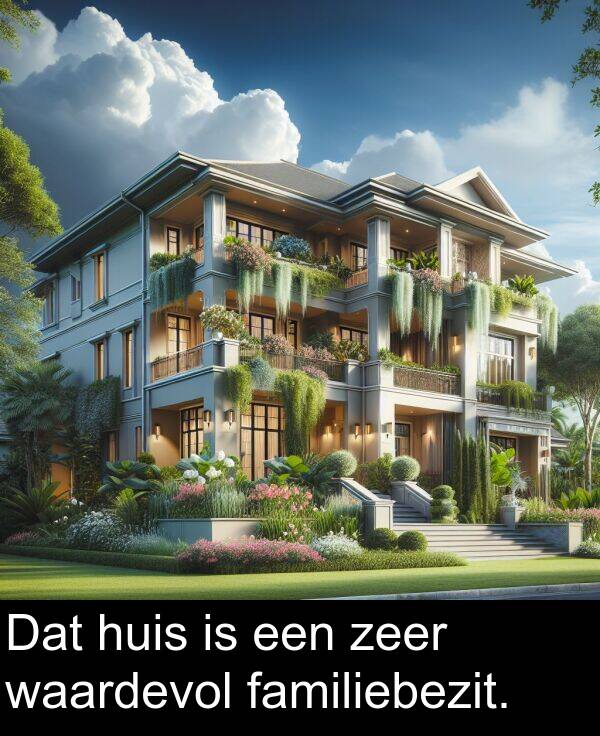familiebezit: Dat huis is een zeer waardevol familiebezit.