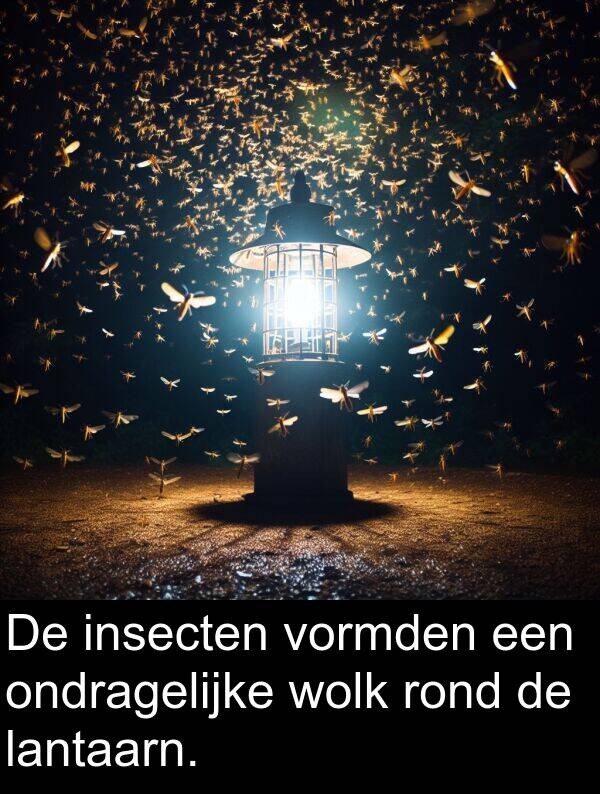 wolk: De insecten vormden een ondragelijke wolk rond de lantaarn.