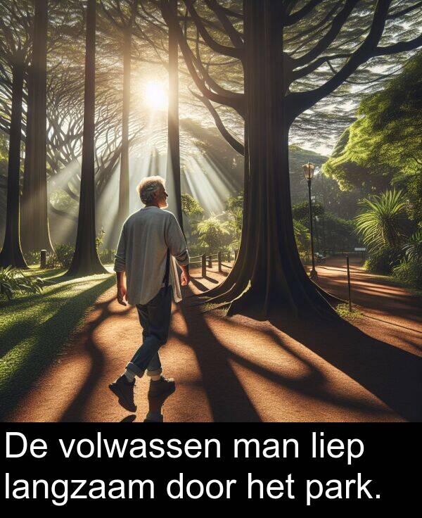 door: De volwassen man liep langzaam door het park.