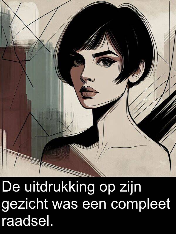 gezicht: De uitdrukking op zijn gezicht was een compleet raadsel.