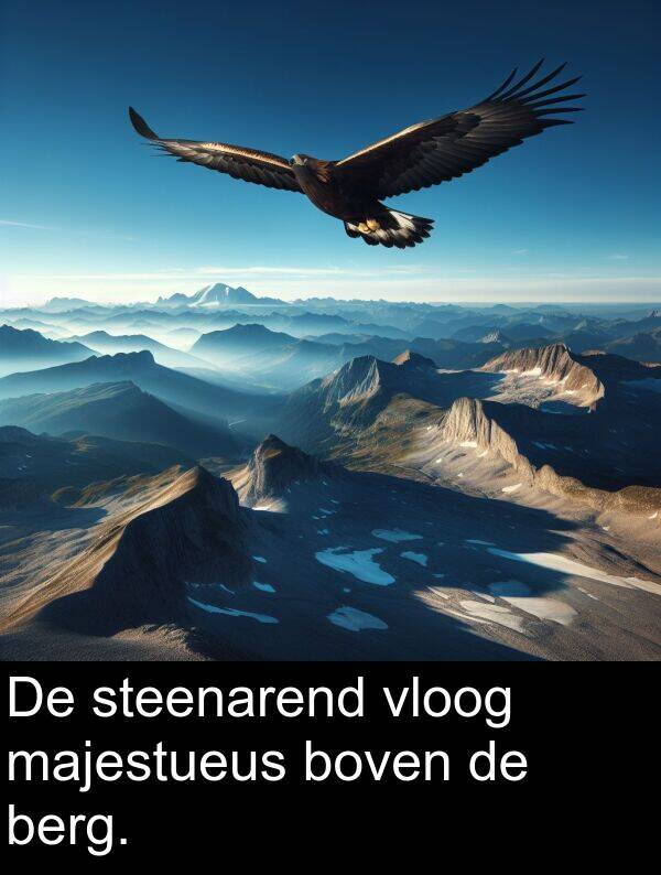 boven: De steenarend vloog majestueus boven de berg.