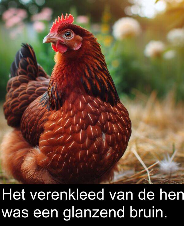 glanzend: Het verenkleed van de hen was een glanzend bruin.
