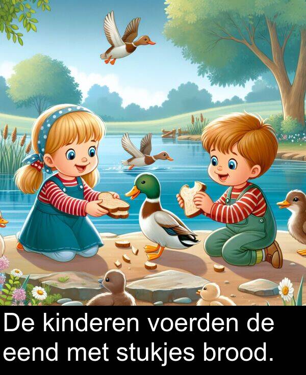 voerden: De kinderen voerden de eend met stukjes brood.