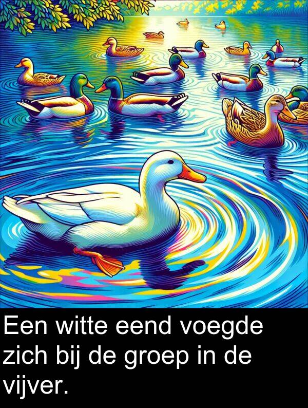groep: Een witte eend voegde zich bij de groep in de vijver.