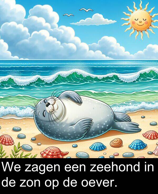 zeehond: We zagen een zeehond in de zon op de oever.