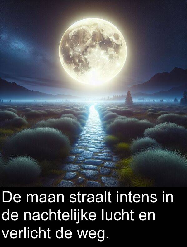 lucht: De maan straalt intens in de nachtelijke lucht en verlicht de weg.