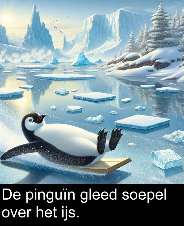 gleed: De pinguïn gleed soepel over het ijs.