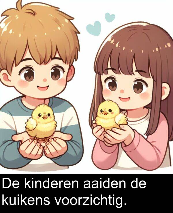 voorzichtig: De kinderen aaiden de kuikens voorzichtig.