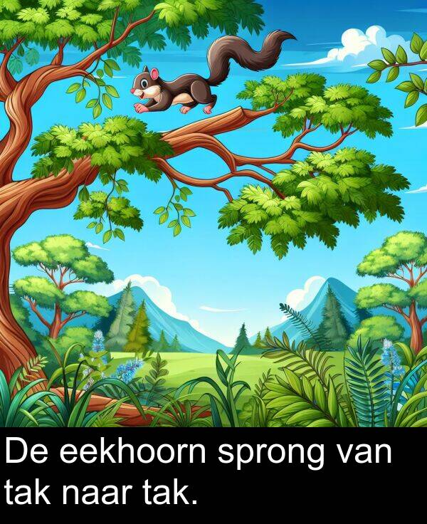 van: De eekhoorn sprong van tak naar tak.