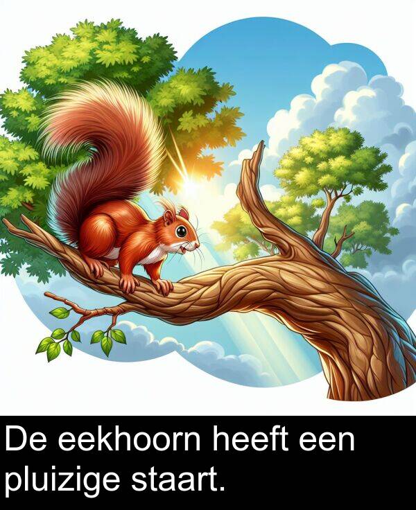 staart: De eekhoorn heeft een pluizige staart.