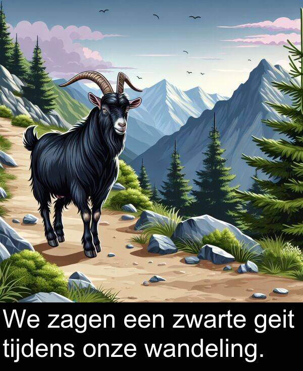 geit: We zagen een zwarte geit tijdens onze wandeling.