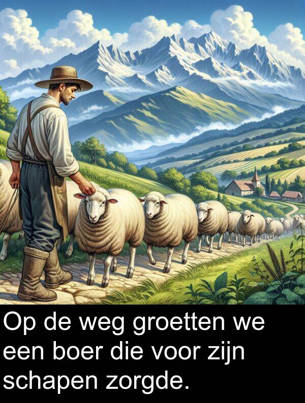 groetten: Op de weg groetten we een boer die voor zijn schapen zorgde.
