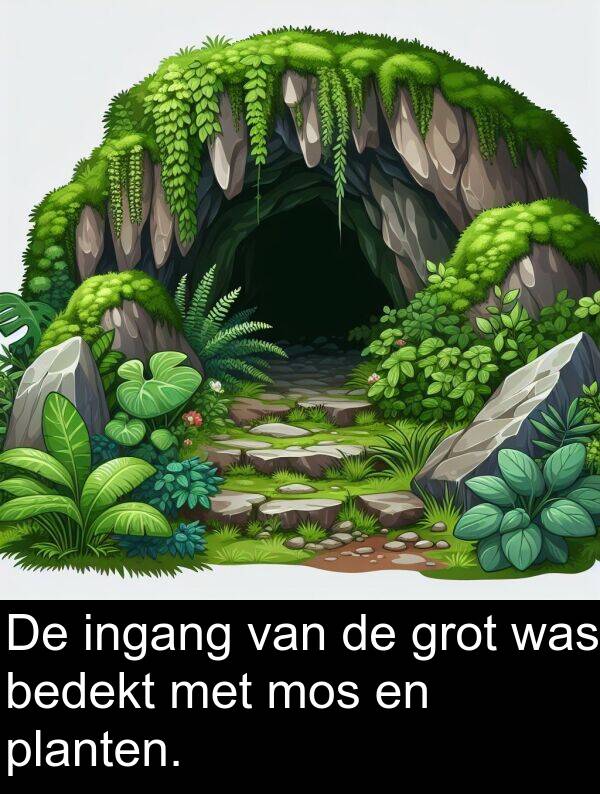 grot: De ingang van de grot was bedekt met mos en planten.