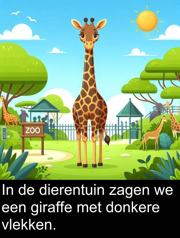 giraffe: In de dierentuin zagen we een giraffe met donkere vlekken.