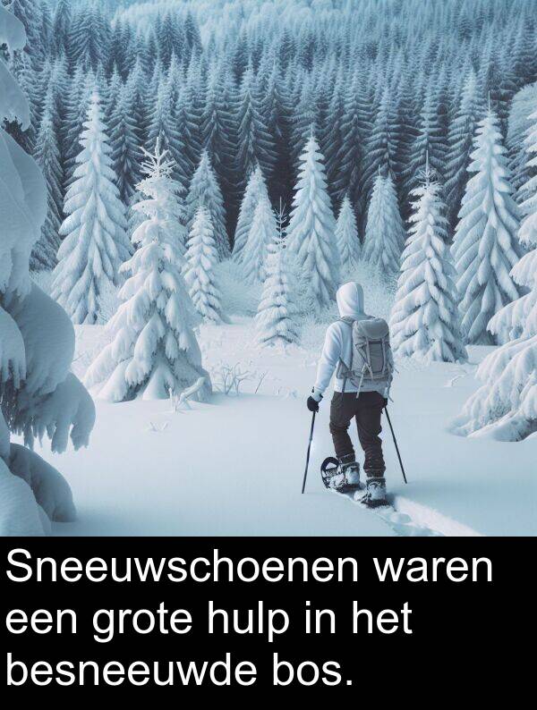 waren: Sneeuwschoenen waren een grote hulp in het besneeuwde bos.