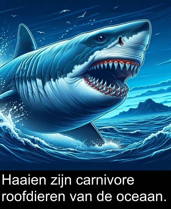 oceaan: Haaien zijn carnivore roofdieren van de oceaan.
