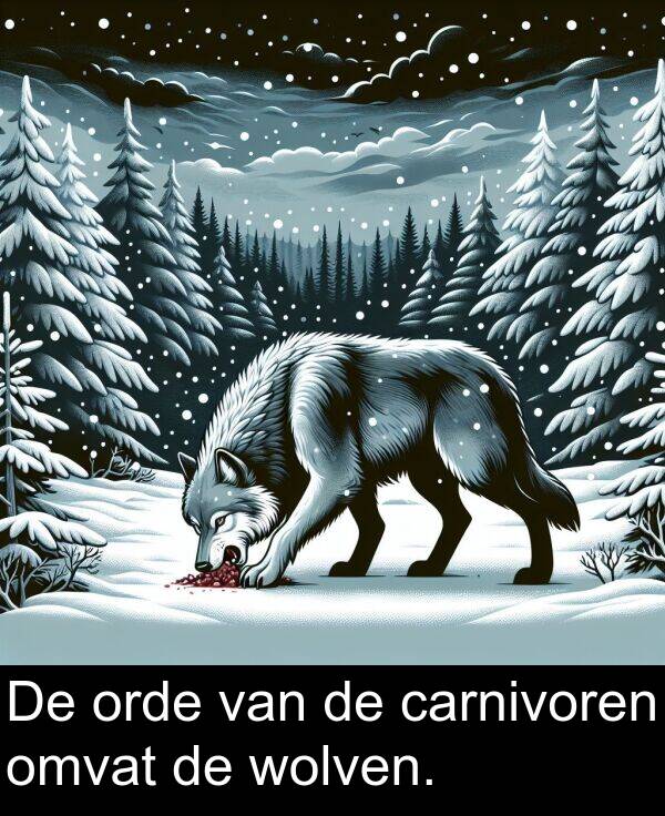 wolven: De orde van de carnivoren omvat de wolven.