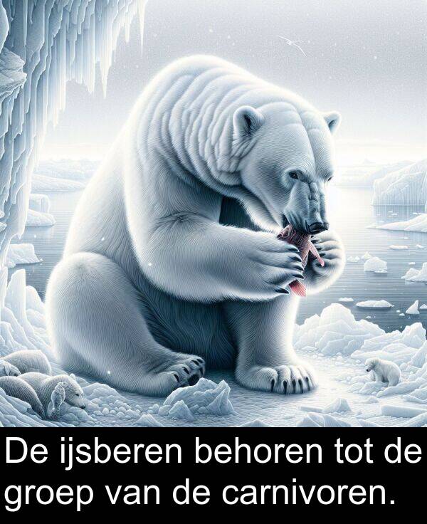 groep: De ijsberen behoren tot de groep van de carnivoren.