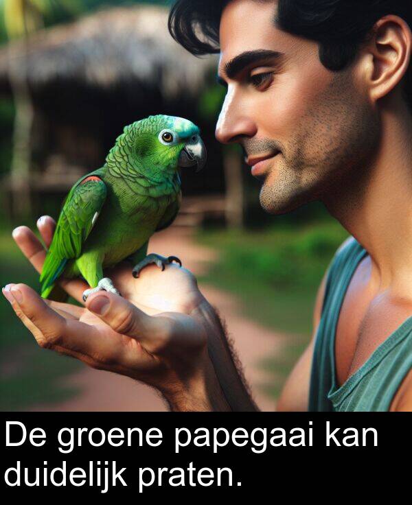 groene: De groene papegaai kan duidelijk praten.