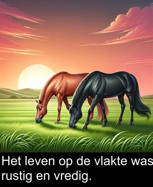 vlakte: Het leven op de vlakte was rustig en vredig.