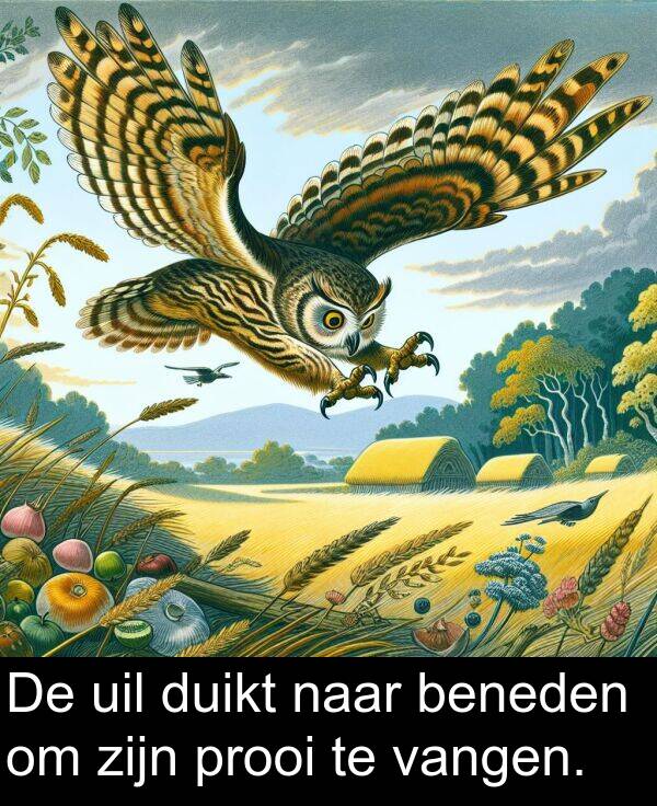 duikt: De uil duikt naar beneden om zijn prooi te vangen.