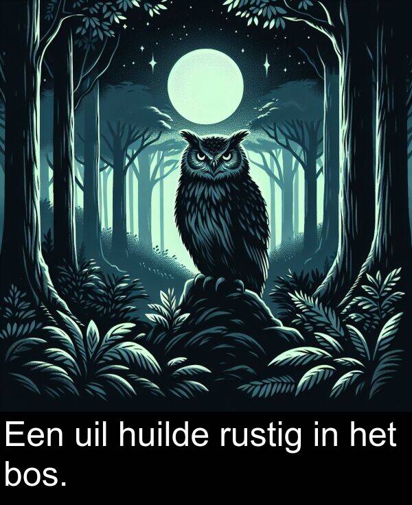 bos: Een uil huilde rustig in het bos.