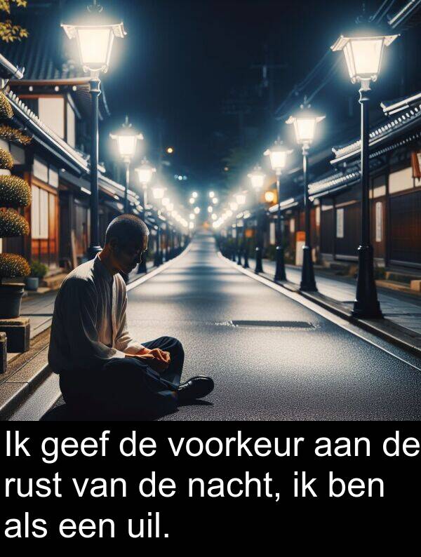 voorkeur: Ik geef de voorkeur aan de rust van de nacht, ik ben als een uil.