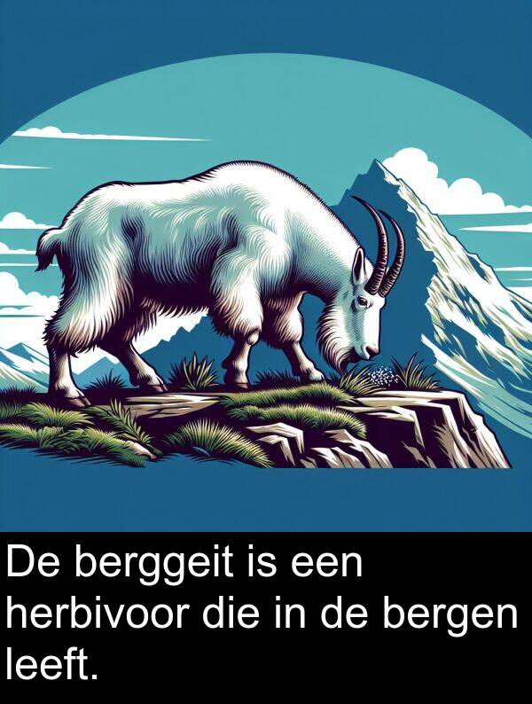 leeft: De berggeit is een herbivoor die in de bergen leeft.