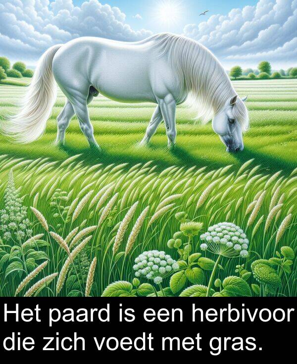 zich: Het paard is een herbivoor die zich voedt met gras.