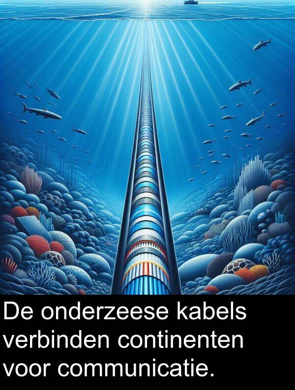 continenten: De onderzeese kabels verbinden continenten voor communicatie.