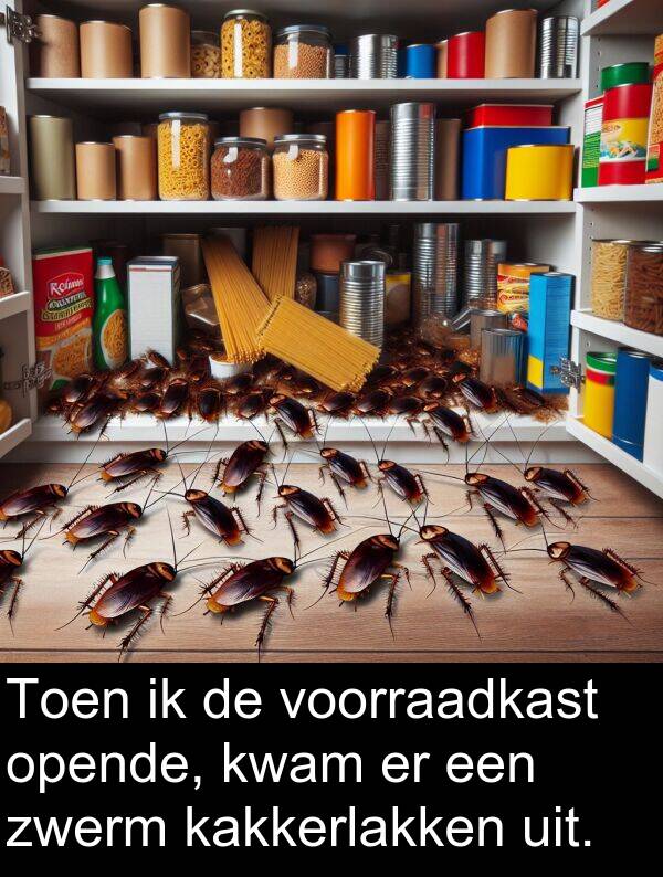 zwerm: Toen ik de voorraadkast opende, kwam er een zwerm kakkerlakken uit.