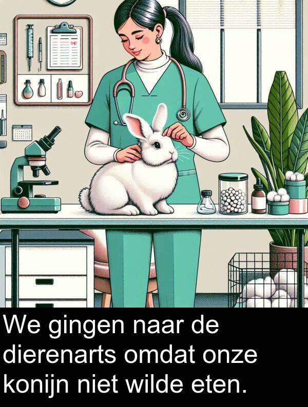 gingen: We gingen naar de dierenarts omdat onze konijn niet wilde eten.