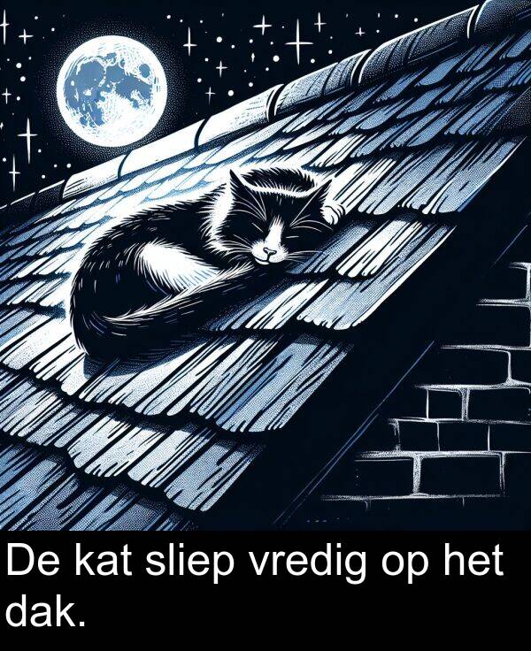 dak: De kat sliep vredig op het dak.