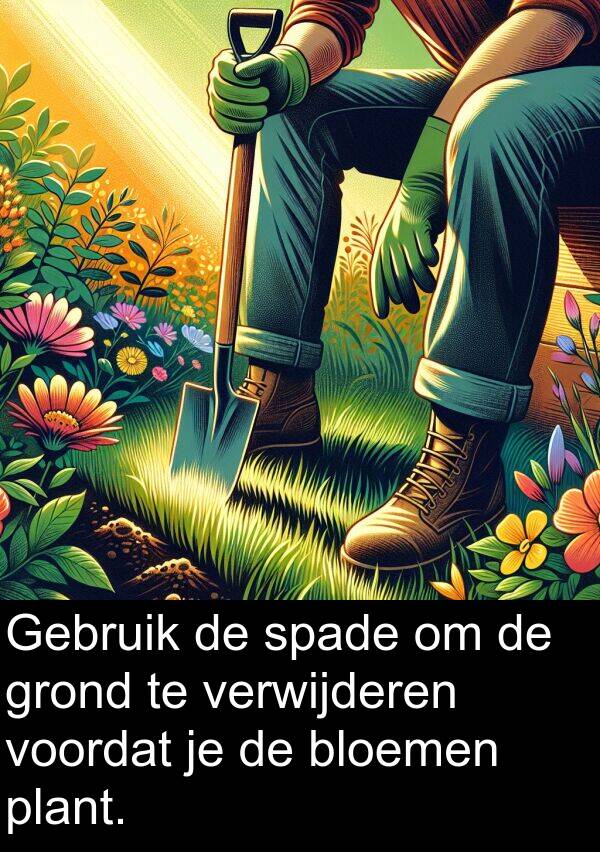 grond: Gebruik de spade om de grond te verwijderen voordat je de bloemen plant.