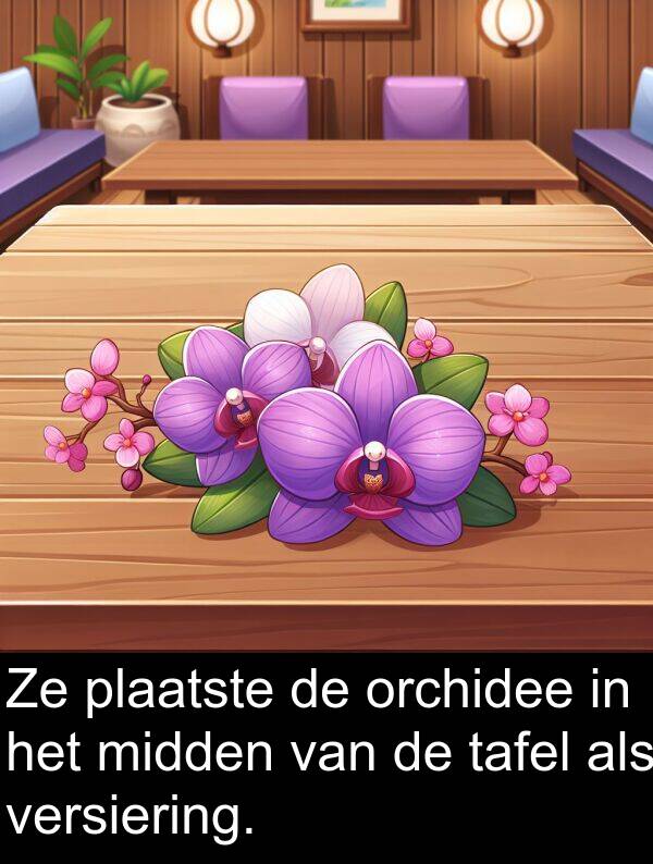 plaatste: Ze plaatste de orchidee in het midden van de tafel als versiering.