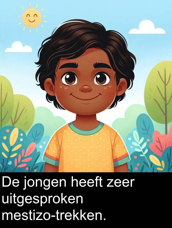 zeer: De jongen heeft zeer uitgesproken mestizo-trekken.