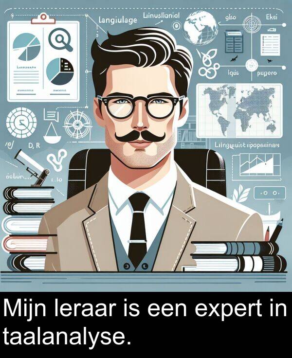 taalanalyse: Mijn leraar is een expert in taalanalyse.