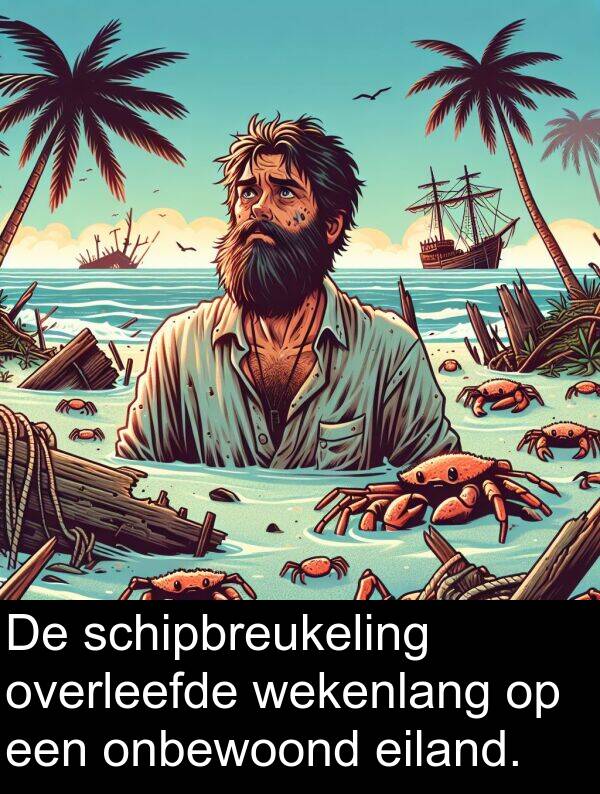 schipbreukeling: De schipbreukeling overleefde wekenlang op een onbewoond eiland.